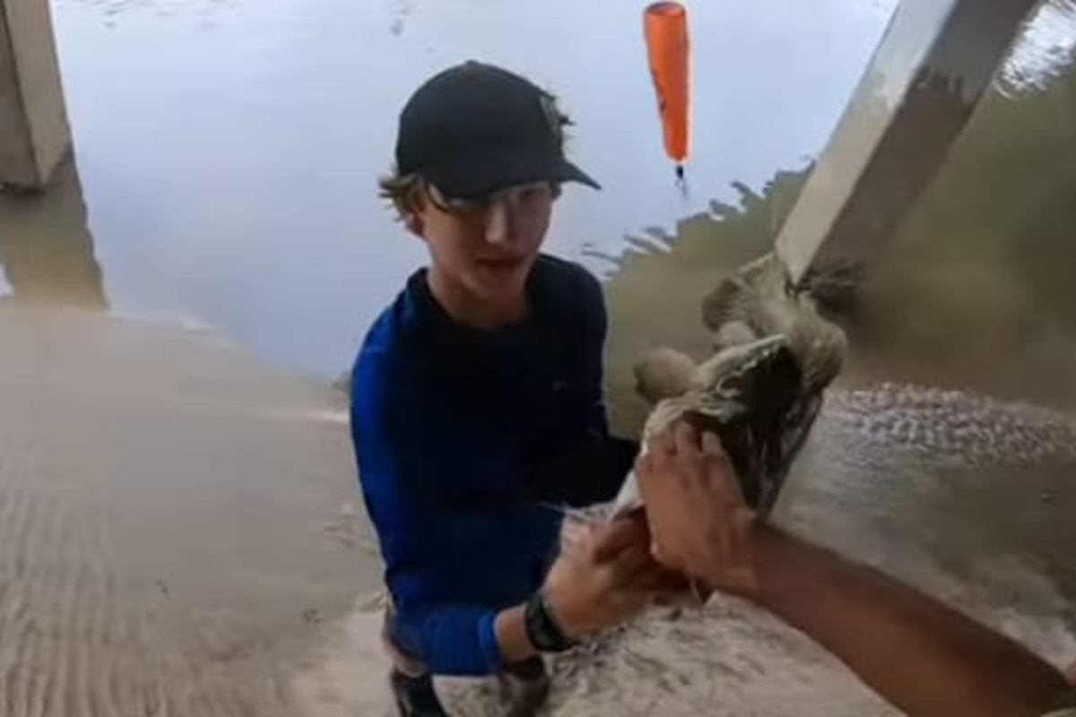 sorprendente pesca di un giovane pescatore