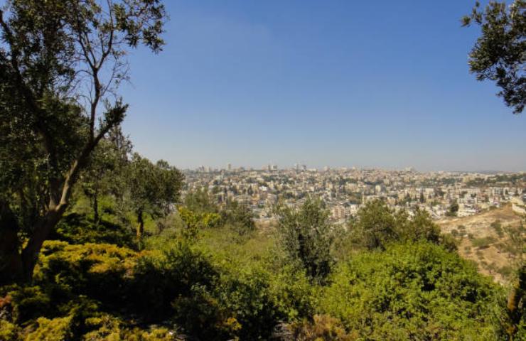 Monte Carmelo In Israele