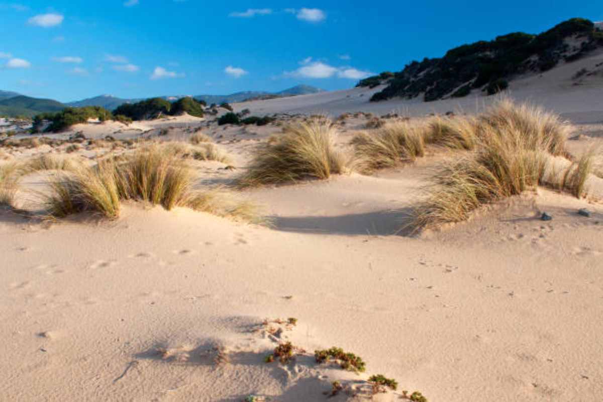 BeliceWeb.it - No, non siamo in Egitto: è il deserto d’Italia | Ecco dove ci troviamo