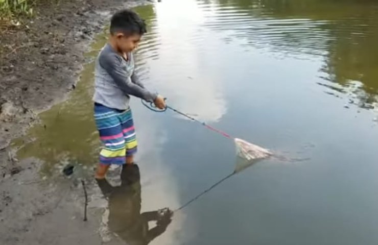 il bambino impegnato a pescare con la sua rete