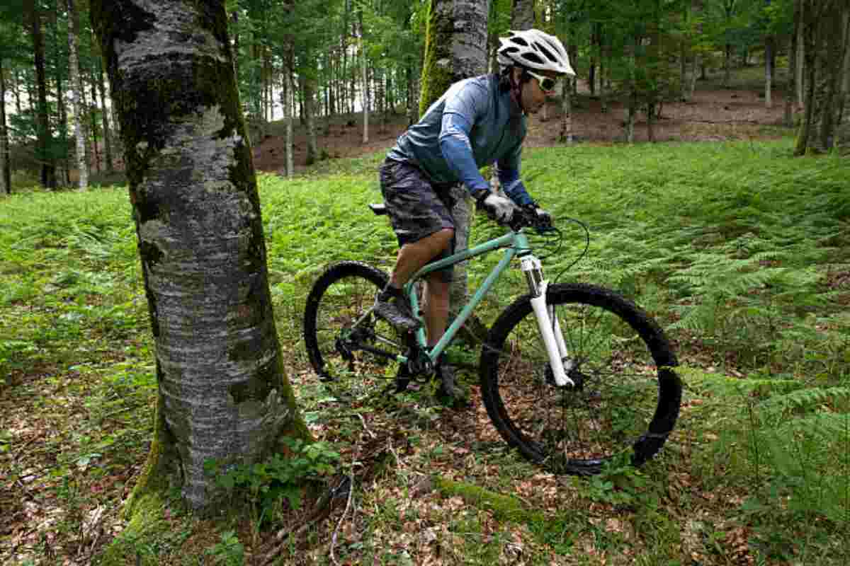 Paura nel bosco l'orso insegue il ciclista