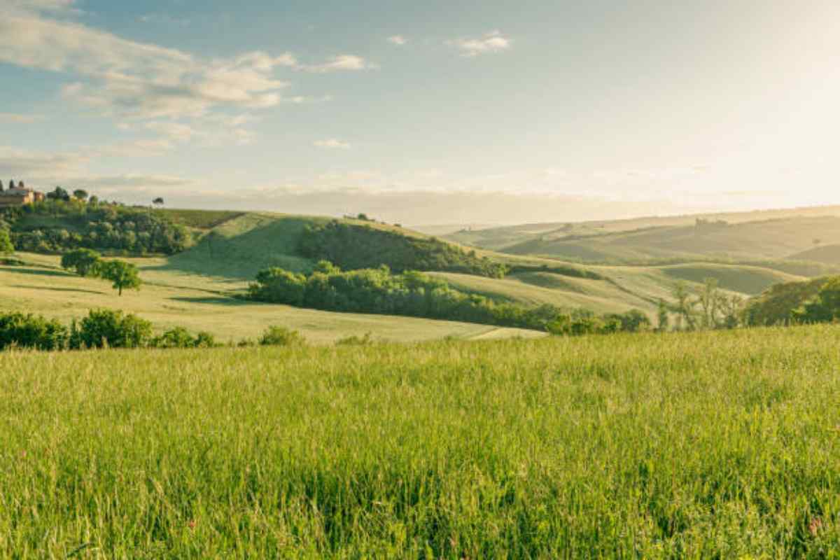 Sensazionale scoperta in un prato